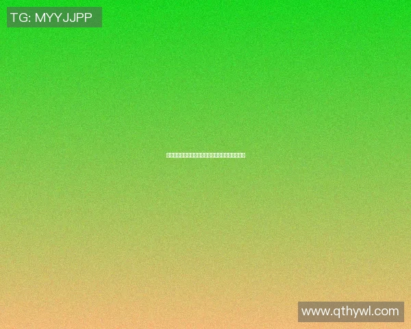 湛江篮球明星盘点他们在赛场上的辉煌成就与影响力